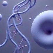 Andrologie